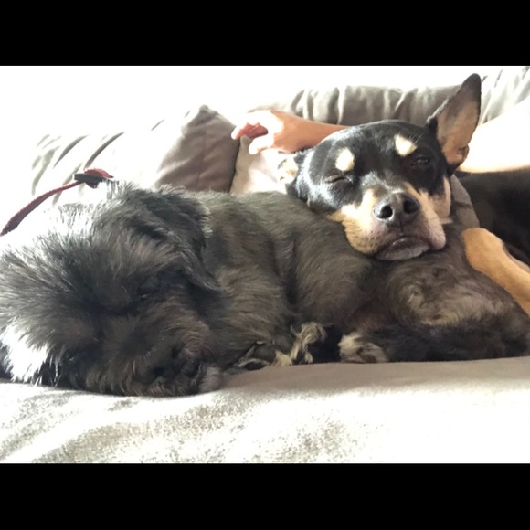 Meet your Posher, Emily - Picture 10 of 10